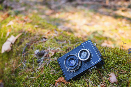 Old retro film camera in a sunny spring forest.
