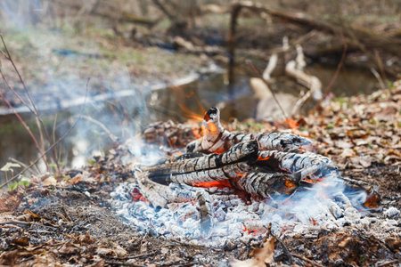 Fading fire on a forest river in the evening.