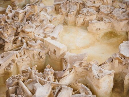 Russia, Bryansk region, Yudinovo. Museum Paleolithic - April 19, 2019: Excursion. The ancient site, the remains of a rounded dwelling-yarang from mammoth bones, built by people about 15 thousand years ago. Fragment of the foundation.のeditorial素材
