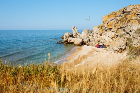 In the marine wild bay there are three tents of tourists. In the marine wild bay there are three tents of tourists. A seagull is flying in the skyの写真素材