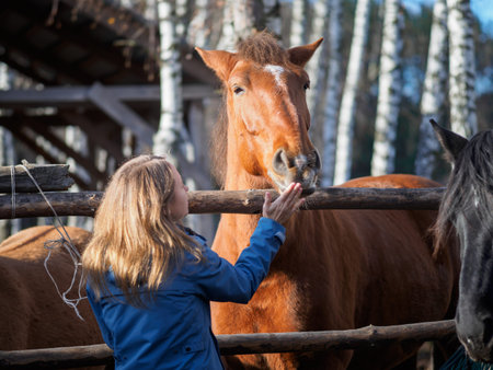 The girl touches the horse's face in the aviary.の写真素材