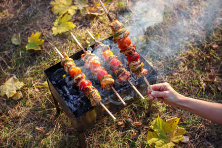 Barbecue with sticks on which meat and vegetables are planted.の写真素材