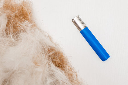 grooming procedure. Trimming tool and hair from a dog lie on a white background.