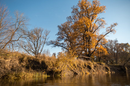 Autumn landscape. House on the lake. Yellow trees near the forest river at sunset. Landscape in warm...