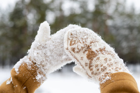 Hands of a girl in beautiful woolen mittens against the background of a green winter forest. Blur zone for the inscription. christmas concept.の写真素材