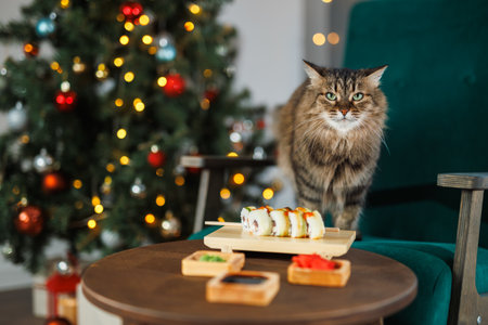 Fluffy cat on a green armchair in the room celebrates the New Year. Christmas tree with a blinking garland and balls. Sushi and rolls on a wooden festive table. Asian cuisine on holidayの写真素材