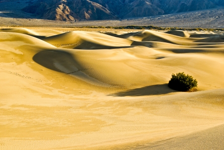 Desert Sand Dunesの写真素材