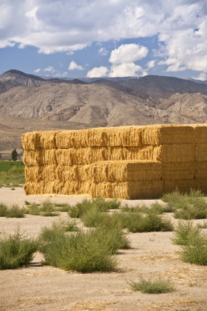 Stacks of hay bales beside the Sierra Nevada mountainsの写真素材
