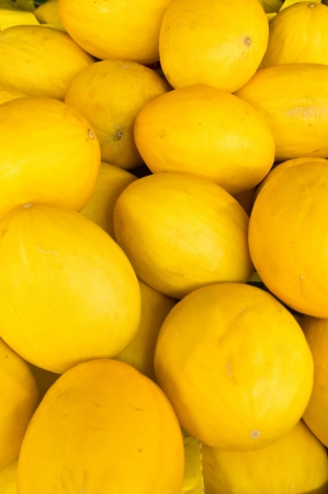 Fall melons create an abstract of fruity yellowの写真素材