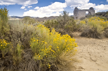 The ruins of a high desert gold mining town in remote Nevada with colorful desert foliageの写真素材