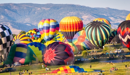 Hot air ballons being inflated in preparation for a mass ascensionの写真素材