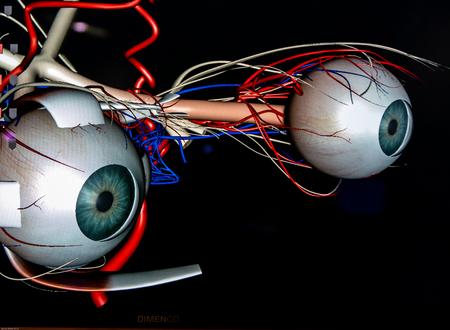 Futuristic Eyecatching Eyeballsの写真素材