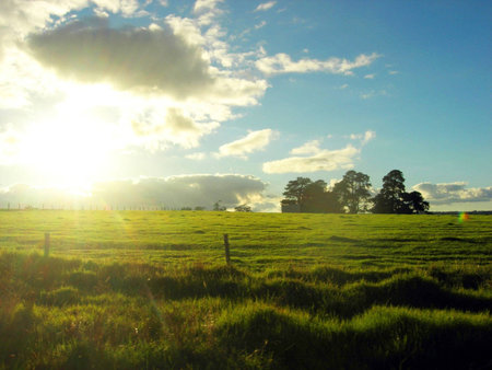 Beautiful morning sun.の素材