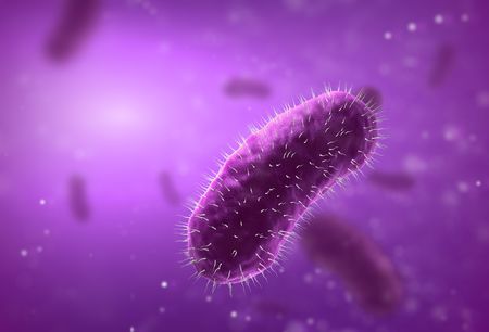 Germs and bacillus bacterias の写真素材