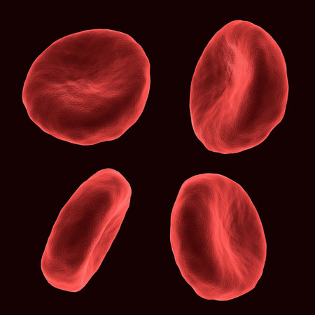 Four blood human cells in different positions