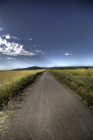 Road in nature with blue sky, clouds and plants