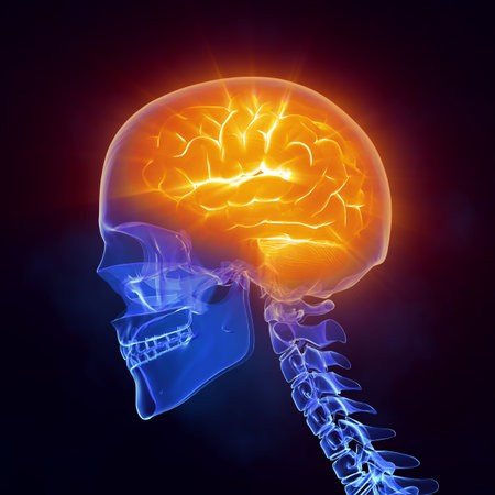 Glowing brain inside skull