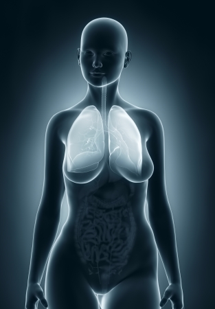 Woman respiratory system anatomyの写真素材