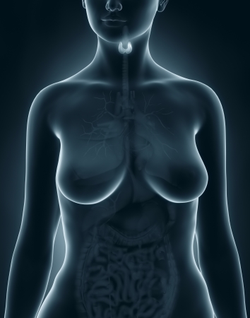 Woman thyroid anatomyの写真素材