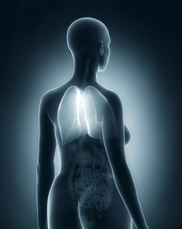 Woman lungs anatomy x-ray black posterior viewの写真素材