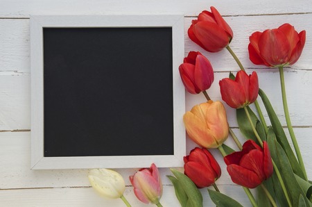Tulips with blank black chalkboard picture frame on white wooden background. romantic picture top view.の写真素材