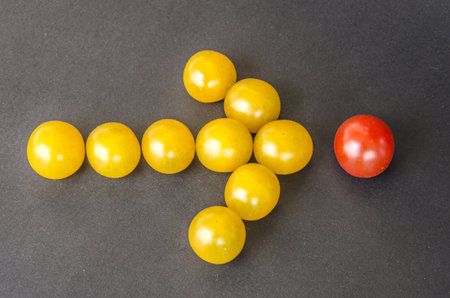 yellow cherry tomatoes in a shape of an arrow pointing red tomato on dark background