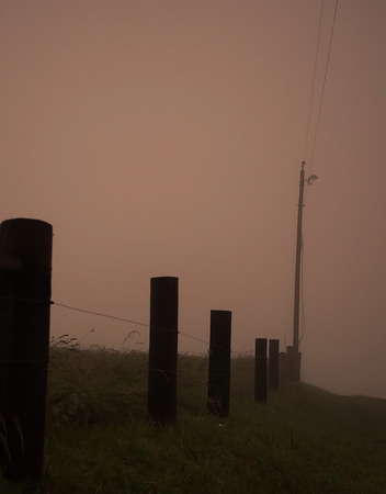 A rural fence row on a foggy morning with the sunlight causing an eerie glow in the skyの写真素材