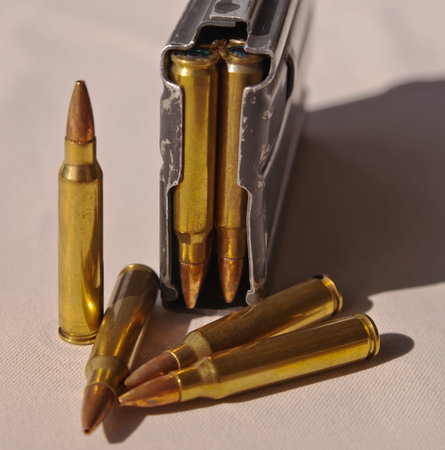 A single rifle magazine loaded with .223 caliber bullets with four bullets in front of it