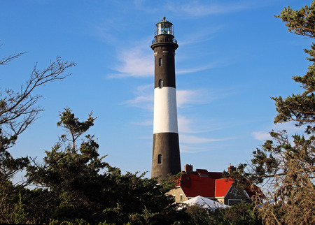 The Fire Island Lighthouse with lots of brush in frot and blue sky behondの写真素材