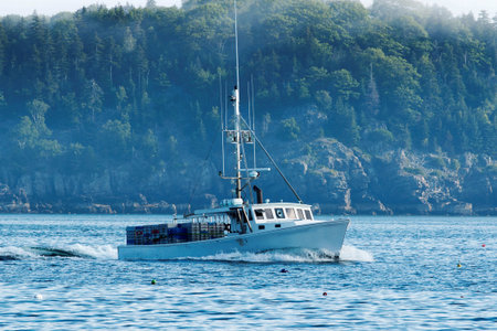 A white lobster boat with lobster traps piled on the back of the boat, heads out to sea to set...