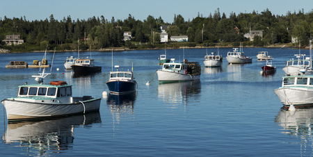 View of fishing boats that are moored in Bass Harbor at dusk, with land and houses in the back ground.の写真素材