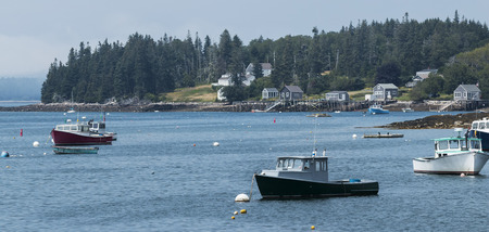 Boats are moored in the harbor for the evening with houses and trees on a hill in the backgroundの写真素材