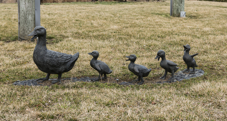 A statue decoration of a mothe duck and four of her ducklings walking behind her on the grass at a park.の写真素材