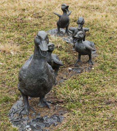 A mother duck statue and her baby ducklings following behind her walking toward the camera.の写真素材