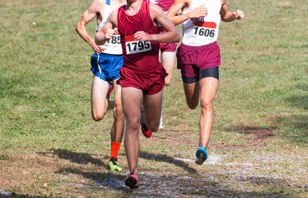 Four high school boys running fast and close together downhill during a cross country race at...
