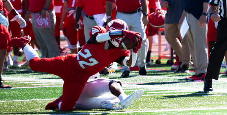 A high school football running back diving into the endzone for a touchdown during a game.の写真素材