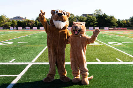 Front view of two cougar mascots waving to the camera standing on a green turf football field.の写真素材