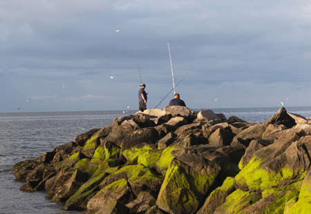 Two men are fishing on the rocks at Sunken Medow State Park with seagulls flying around them and green moss on the large rocks.の写真素材