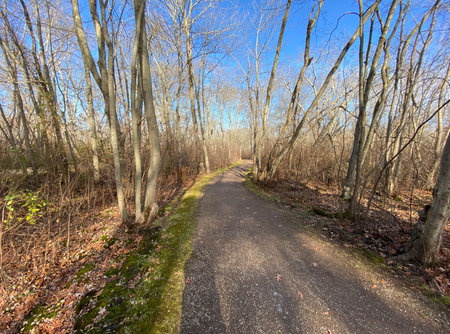A dirt path in the woods at Southards Pond park on a cool December morning with a sunny and blue...
