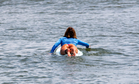 Rear view beautiful young women paddling into the ocean lying down on her surfboard wearing a blue rash guard to go surfing.の写真素材