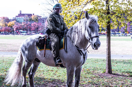 Bronx, New York, USA - 10 November 2018: A New York City Police man riding on the back of a white horse in Van Cortlandt Park in the Bronx.のeditorial素材