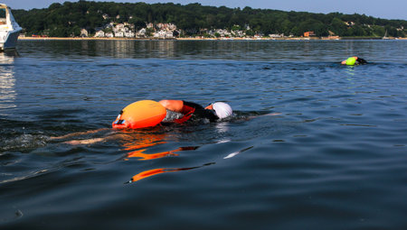 Two female swimmers swimming in Centerport Harbors Fleets Cove wearing colorful safety buoys floating behind them.の写真素材