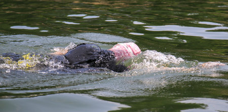 A swimmer is seen moving effortlessly through clear water under bright sunlight, showcasing calm...