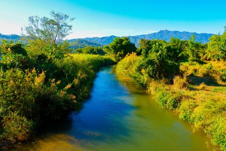 Natureの写真素材