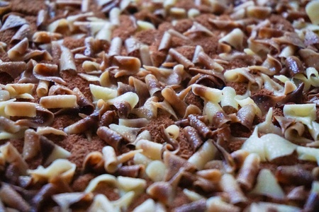Closeup of chocolate flakes topped tiramisu dessertの素材