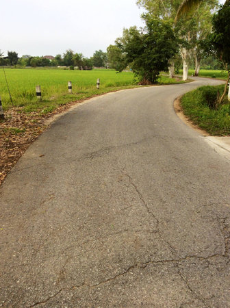 Street view of the field on countrysideの素材