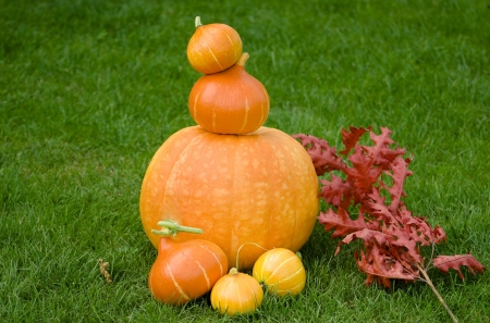 Pumpkins decoration の写真素材