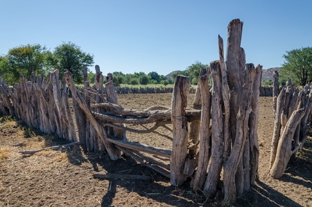 Traditional wooden kraal or enclosure for cattles of Himba tribe people in Namibia and Angola.の写真素材