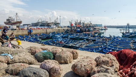 Essaouira, Morocco - September 15 2013: Blue wooden fishing boats anchored in historic port with seagulls and fishermenのeditorial素材