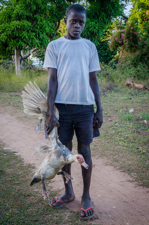 Bubaque, Guinea Bissau - December 11, 2013: Unidentified young boy carrying duck to the marketのeditorial素材